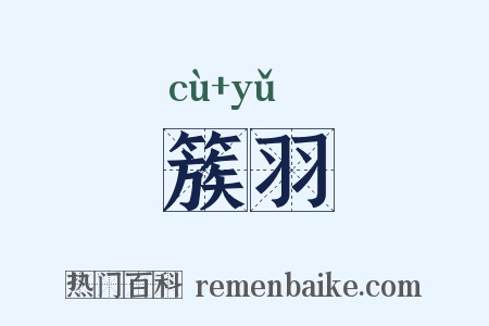 簇羽是什么意思的图片